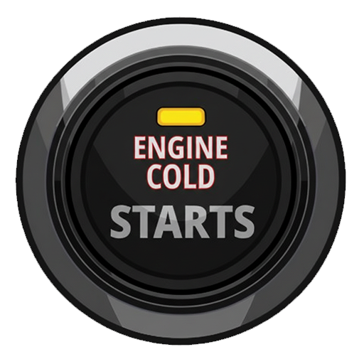 Engine Cold Starts